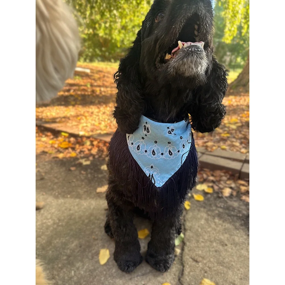 Blue Jean Baby Blue Paisley Fringe Dog Bandana | Handmade Western Pet Accessory